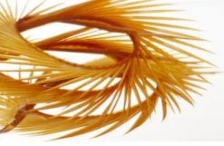 Semperfli Inferno Goose Biots Feathers & Marabou