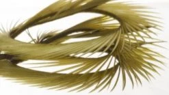 Semperfli Inferno Goose Biots Feathers & Marabou