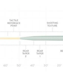Scientific Anglers Amplitude Infinity Saltwater Fly Line Fly Lines
