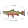 Pescador Jeff Currier Fish Decals Clothing & Logo Gear