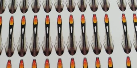 Semperfli Synthetic Jungle Cock Cheeks 7 Semperfli Synthetic Jungle Cock Cheeks