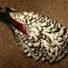 Nature's Spirit Feathers & Marabou Lady Amherst Pheasant Complete Neck
