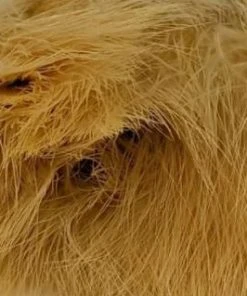 Nature's Spirit 1oz Master Pack: Fish Hunter Premium Strung Marabou Feathers & Marabou