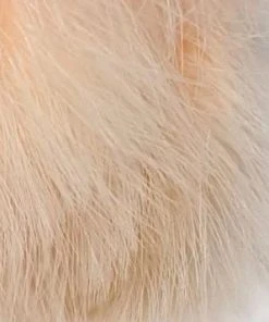 Nature's Spirit 1oz Master Pack: Fish Hunter Premium Strung Marabou Feathers & Marabou