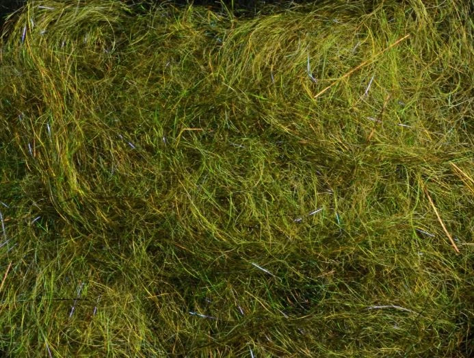 Rohmer Arizona Mega Simi Seal 36 Rohmer Arizona Mega Simi Seal