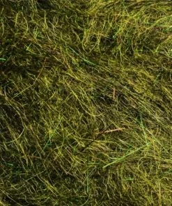 Rohmer Arizona Mega Simi Seal 54 Rohmer Arizona Mega Simi Seal