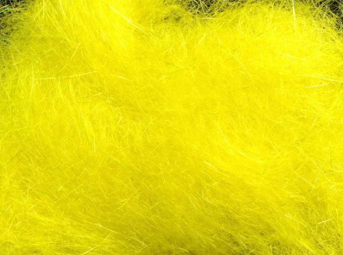 Rohmer Arizona Mega Simi Seal 26 Rohmer Arizona Mega Simi Seal