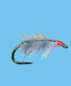 Solitude Sow Bug - Gray