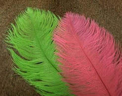 Nature's Spirit Ostrich Herl Plume