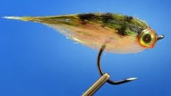 Wapsi Palmer Chenille