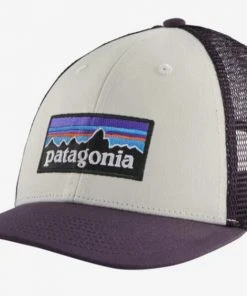 Patagonia P-6 LoPro Trucker Hat Hats