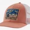 Hats Patagonia Summit Road LoPro Trucker Hat