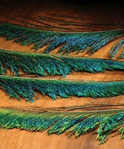 Hareline Peacock Swords Feathers & Marabou
