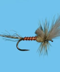 Solitude Shop Flies Harrop's Last Chance Cripple - PMD