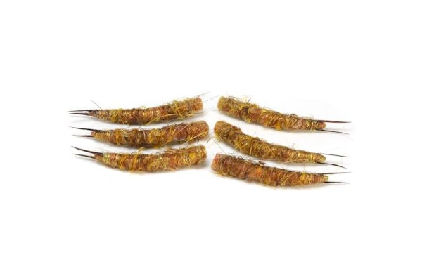 Rainy's Tube Bodiz, Stonefly 3 Rainy's Tube Bodiz, Stonefly