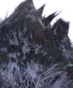 Nature's Spirit Feathers & Marabou Fish Hunter Ringneck Pheasant Rump Patch