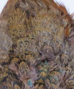Nature's Spirit Feathers & Marabou Fish Hunter Ringneck Pheasant Rump Patch