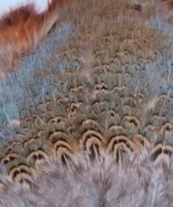 Nature's Spirit Feathers & Marabou Fish Hunter Ringneck Pheasant Rump Patch