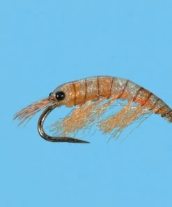 Solitude Ultra Scud - Orange Shop Flies
