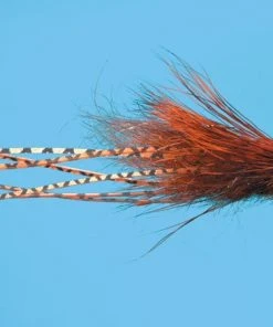 Solitude Crazy Dad Streamer Sz 8 - Pumpkin