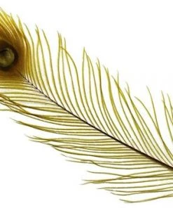 Spirit River Dyed Peacock Eyes Feathers & Marabou 12 Spirit River Dyed Peacock Eyes Feathers & Marabou