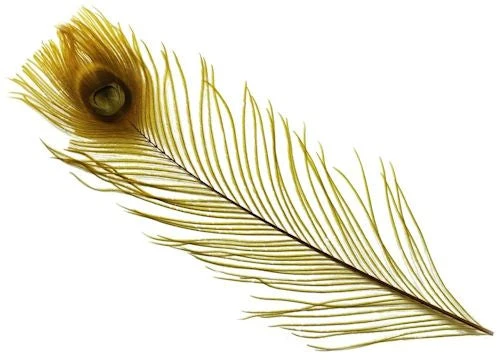 Spirit River Dyed Peacock Eyes Feathers & Marabou 5 Spirit River Dyed Peacock Eyes Feathers & Marabou