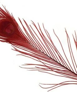 Spirit River Dyed Peacock Eyes Feathers & Marabou 14 Spirit River Dyed Peacock Eyes Feathers & Marabou