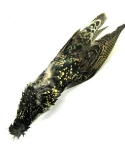 Hackle Nature's Spirit Starling Skin