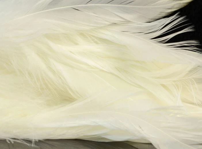 Nature's Spirit Hackle Fish Hunter Select Schlappen 6 Nature's Spirit Hackle Fish Hunter Select Schlappen