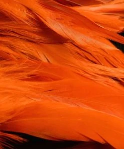 Nature's Spirit Hackle Fish Hunter Select Schlappen 48 Nature's Spirit Hackle Fish Hunter Select Schlappen