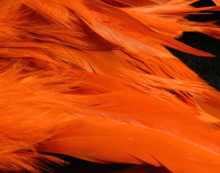 Nature's Spirit Hackle Fish Hunter Select Schlappen 8 Nature's Spirit Hackle Fish Hunter Select Schlappen