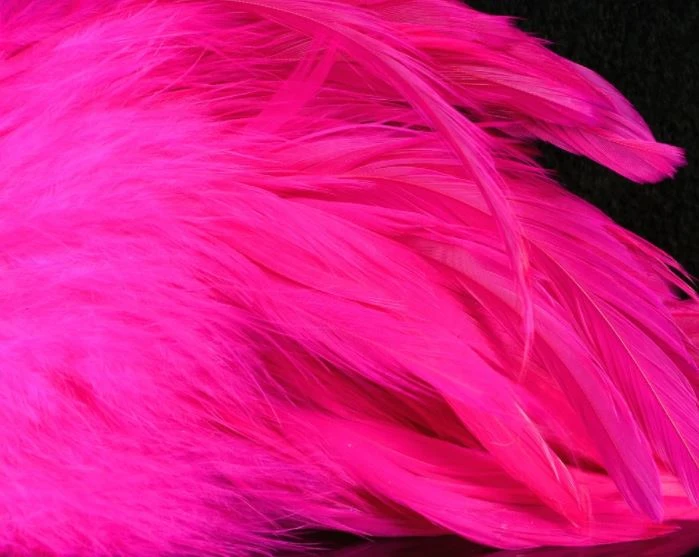 Nature's Spirit Hackle Fish Hunter Select Schlappen 12 Nature's Spirit Hackle Fish Hunter Select Schlappen