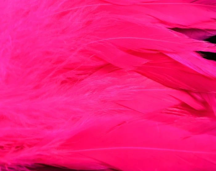 Nature's Spirit Hackle Fish Hunter Select Schlappen 13 Nature's Spirit Hackle Fish Hunter Select Schlappen