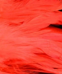 Nature's Spirit Hackle Fish Hunter Select Schlappen 55 Nature's Spirit Hackle Fish Hunter Select Schlappen