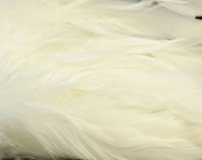 Nature's Spirit Hackle Fish Hunter Select Schlappen 20 Nature's Spirit Hackle Fish Hunter Select Schlappen