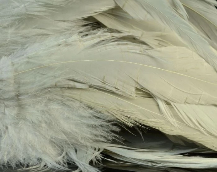 Nature's Spirit Hackle Fish Hunter Select Schlappen 22 Nature's Spirit Hackle Fish Hunter Select Schlappen