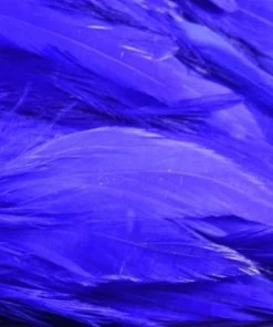 Nature's Spirit Hackle Fish Hunter Select Schlappen 70 Nature's Spirit Hackle Fish Hunter Select Schlappen