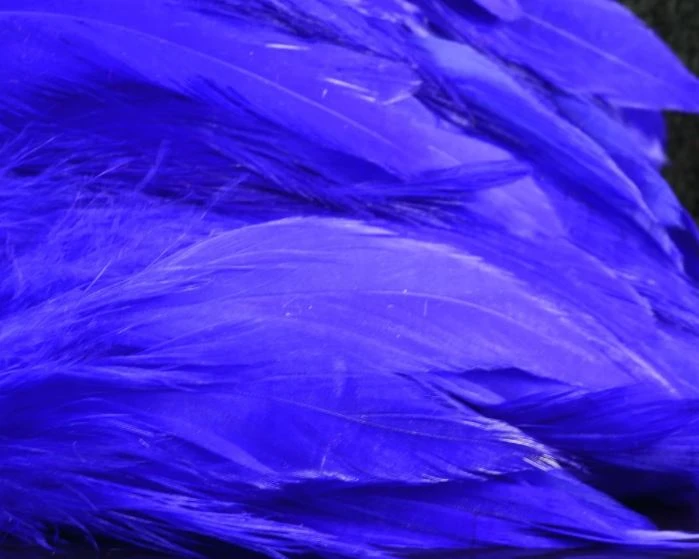 Nature's Spirit Hackle Fish Hunter Select Schlappen 30 Nature's Spirit Hackle Fish Hunter Select Schlappen