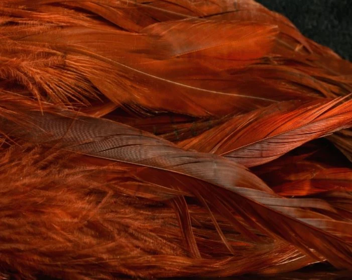 Nature's Spirit Hackle Fish Hunter Select Schlappen 34 Nature's Spirit Hackle Fish Hunter Select Schlappen