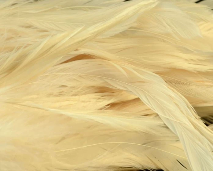 Nature's Spirit Hackle Fish Hunter Select Schlappen 33 Nature's Spirit Hackle Fish Hunter Select Schlappen