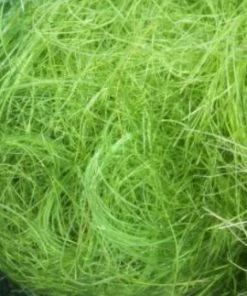 Semperfli SemperSeal Substitute Dubbing