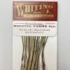Whiting 100 Pack Dry Fly Hackle - Silver Badger - 18 1 Whiting 100 Pack Dry Fly Hackle - Silver Badger - 18