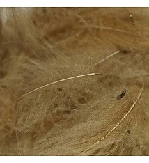 TroutHunter Premium CDC