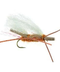 Umpqua Chubby Chernobyl Pteronarcys Shop Flies