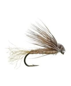 Umpqua Mathews' X Caddis - Olive