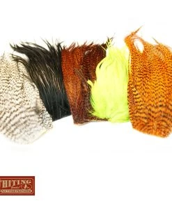 Whiting Bugger Packs Hackle