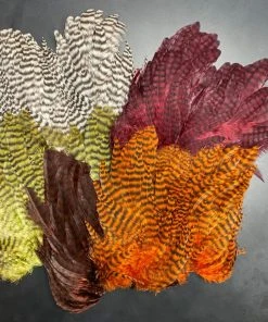 Whiting Bugger Hackle Patch