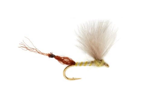 Fulling Mill Burkus Riffle Robber - Pale Olive Shop Flies 3 Fulling Mill Burkus Riffle Robber - Pale Olive Shop Flies