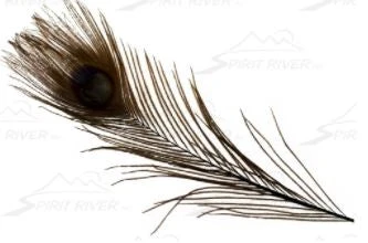 Spirit River Dyed Peacock Eyes Feathers & Marabou 8 Spirit River Dyed Peacock Eyes Feathers & Marabou