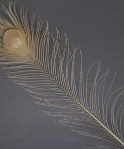 Spirit River Dyed Peacock Eyes Feathers & Marabou 17 Spirit River Dyed Peacock Eyes Feathers & Marabou